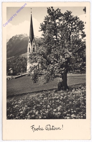 ak192794 Blumenwiese