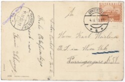 ak192820a Henne mit Küken