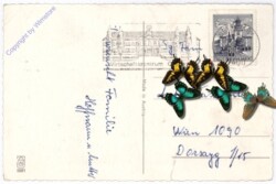 ak192851a Blumen mit Zweigen