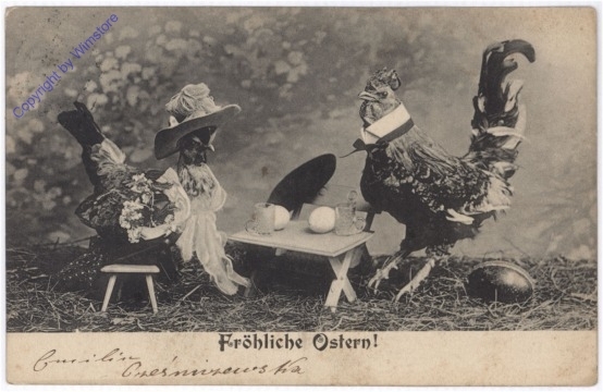 Hahn und Henne