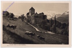 Liechtenstein, Schloss Vaduz
