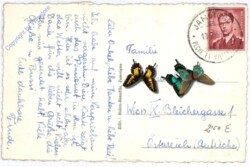 Jamoigne, Le Pensionnat des Sours de la Docgtrine Chretienne