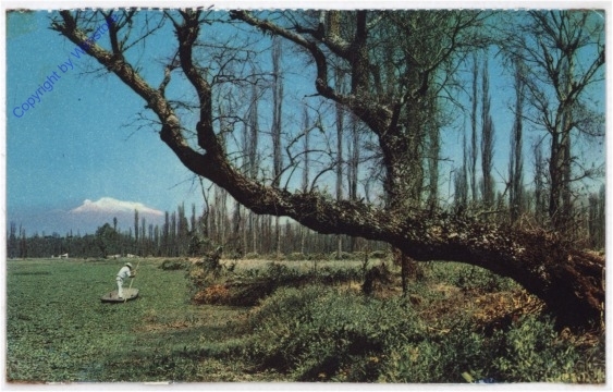 Mexico, Xochimilco