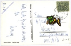 Cova da Iria, Candle Procession