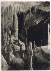 Beograd, Izrada Zadruzne Knjige