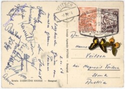 Beograd, Izrada Zadruzne Knjige