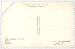 Las Canadas (Tenerife), Paisaje