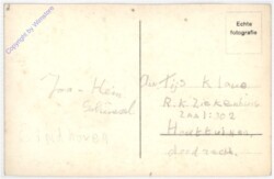 Arnhem, Bruine Beren in Burger's Natuur-Dierenpark