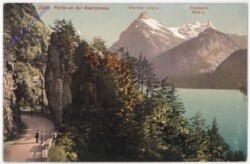 ak193177 Partie an der Axenstrasse