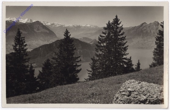 ak193222 Rigi-Kaltbad, Blick auf die Alpen