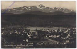 ak193264 Bischofszell, Total-Ansicht mit Säntis