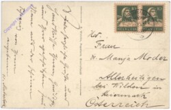 ak193264a Bischofszell, Total-Ansicht mit Säntis