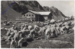 ak193274 Ospiz-Flüela