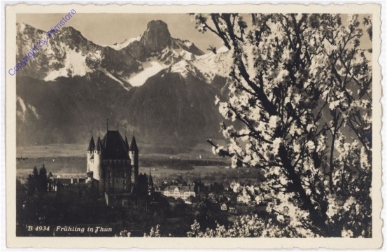 ak193282 Thun, Frühling