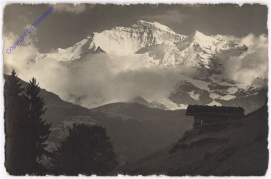 ak193306 Jungfrau im Abendlicht