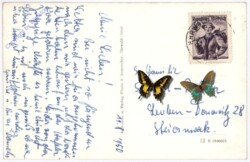 ak193366a Fernpass-Strasse m. Zugspitze