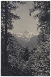 ak193386 Jungfrau, Ansicht