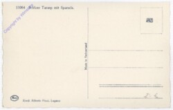 ak193394a Sparsels, Schloss Tarasp