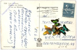 Lac Leman, Chateau de Chillon et vue sur Montreux