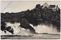 Rheinfall, Schloss Laufen