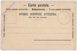 ak193525a Basel, Münster, Kreuzgänge