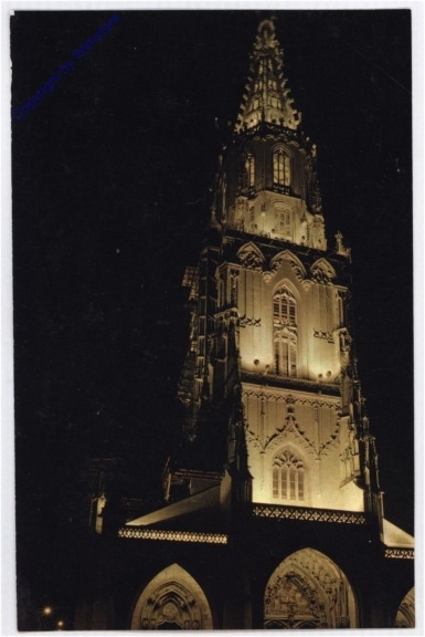 ak193529 Bern, Münster