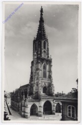 ak193537 Bern, Münster