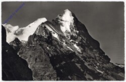 ak193583 Grindelwald, Gr. Scheidegg, Mönch und Eiger