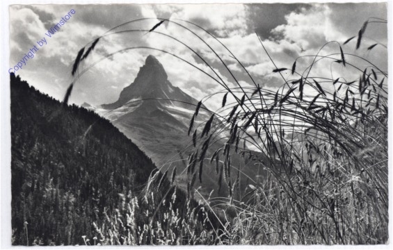 ak193627 Zermatt, Findelen
