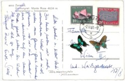 ak193631a Zermatt, Gornergrat: Monte Rosa