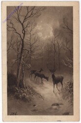 Rehe im Wald