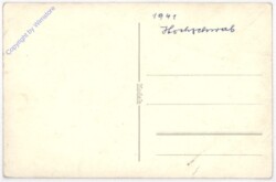 ak193672a Steinbock