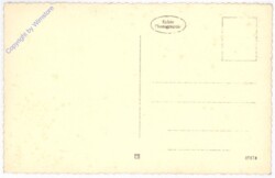 ak193674a Schafherde
