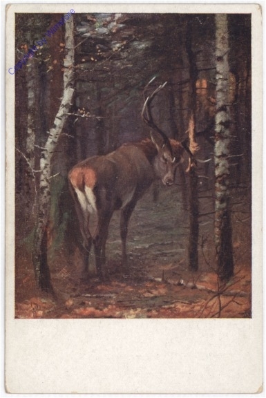 Hirsch