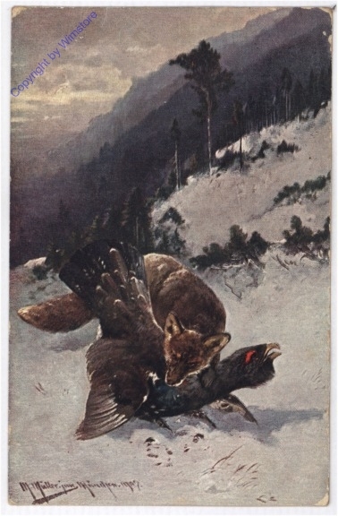 Fuchs und Auerhahn
