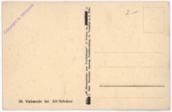 Viehweide