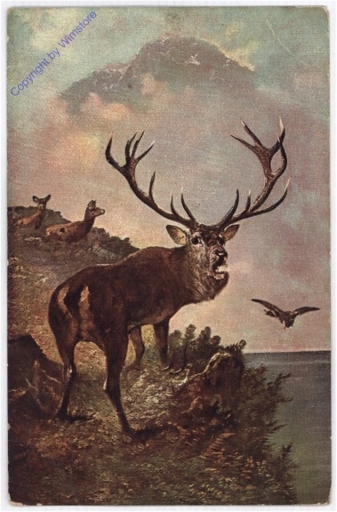 Hirsch