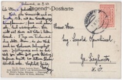 Rehe - Das erste Grün am Schneerand