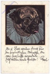 Mops