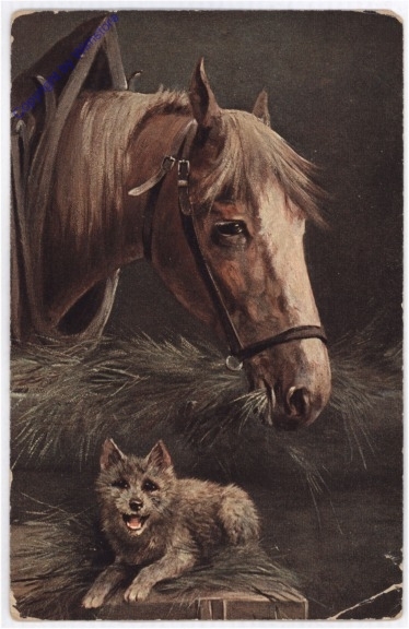 Pferd mit Hund