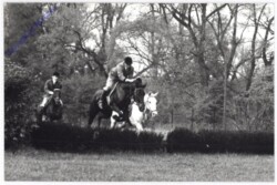 ak193738 Springen