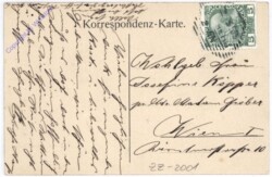 Auf der Koppel