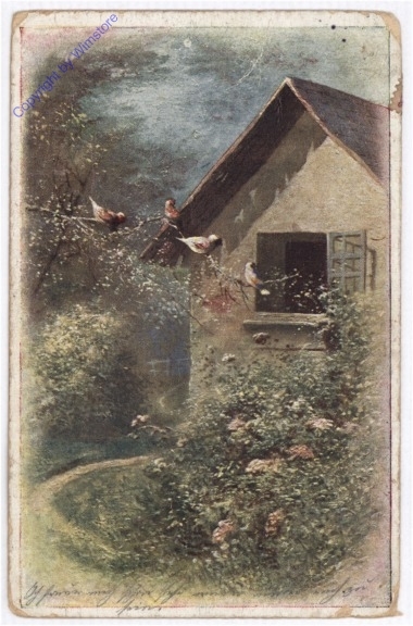 Vogerl im Gebüsch