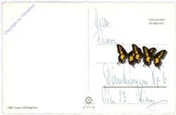 Blühende Zweige, Geburtstag