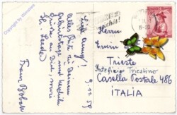 ak193768a Blumenstock, Geburtstag