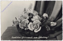 Rosennschale, Geburtstag