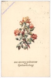 ak193783 Rosen, Geburtstag