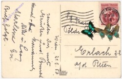 ak193783a Rosen, Geburtstag