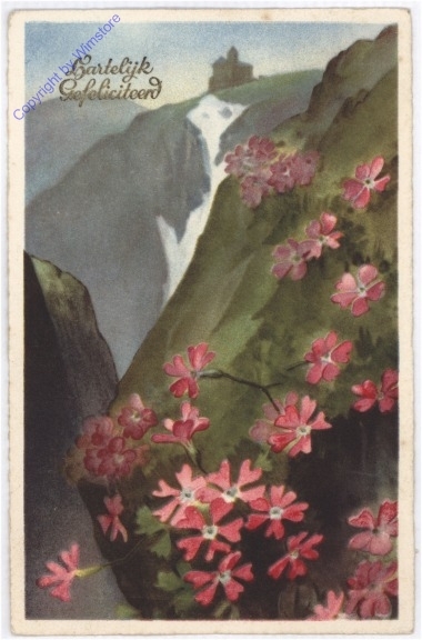 ak193785 Landschaft mit Blumen, Geburtstag