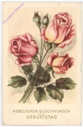 ak193790 Rosen, Geburtstag